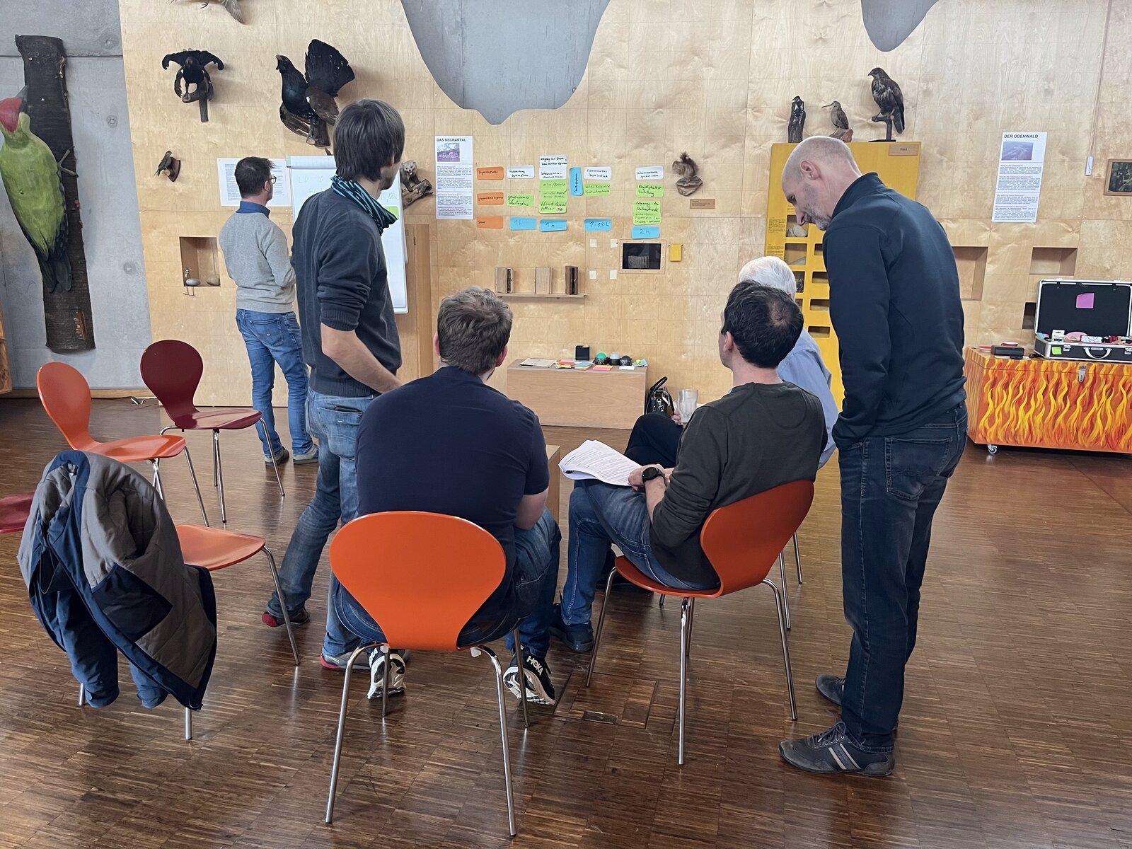 Teilnehmende sitzen und stehen im Museumsraum vor einer Wand mit bunten Moderationskarten, an der Wand hängen ausgestopfte Vögel