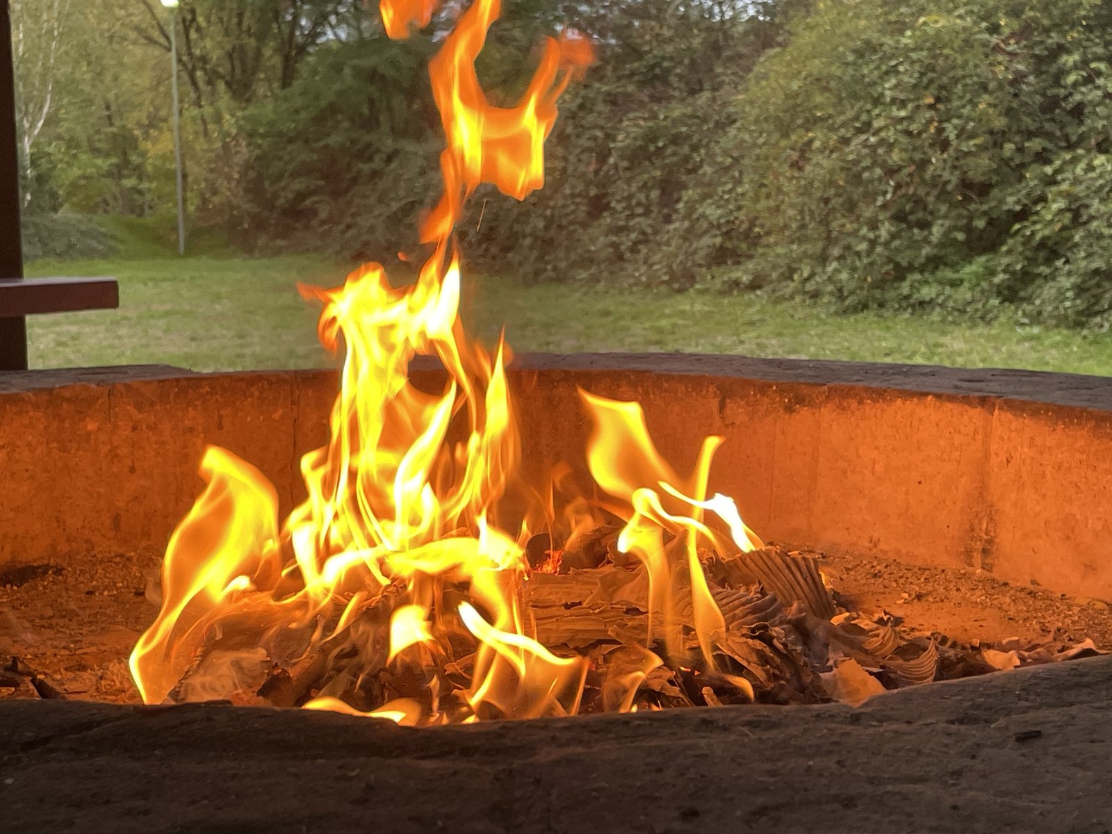 Open fire in a brick fire pit, with a lawn and bushes behind it