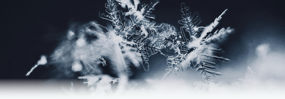 Beschreibung von psychologischer Sicherheit in Unternehmen - fragil wie ein Eiskristall